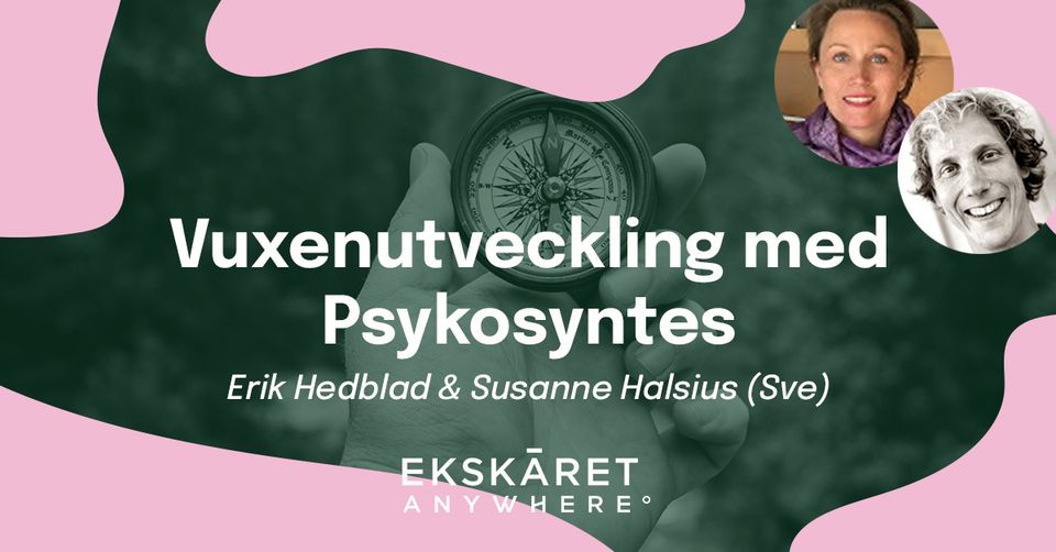 Prova psykosyntes på Ekskäret Anywhere