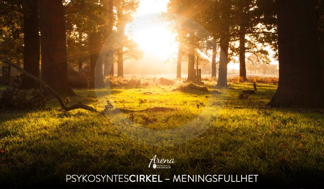 Meningsfullhet: Psykosyntescirkel med Charlotta Ozaki Macias & Susanne Halsius (mars-april)